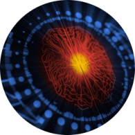 39854f512cdcbe3910b95b1de5e700de 39854f512cdcbe3910b95b1de5e700de